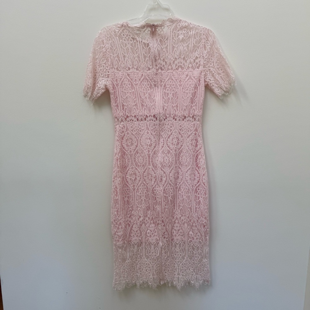 Elegant Pink Lace Dress - Picture 6 of 6